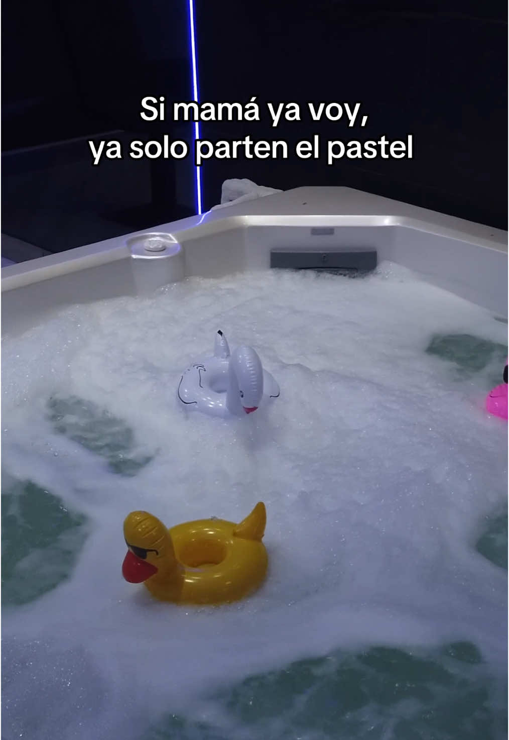 El mejor lugar para combatir el calor... la suite con albercuzzi de Ximbo 🥵 #HotelXimbo #EscapadaÚnica #albercuzzi #suite #hotel 