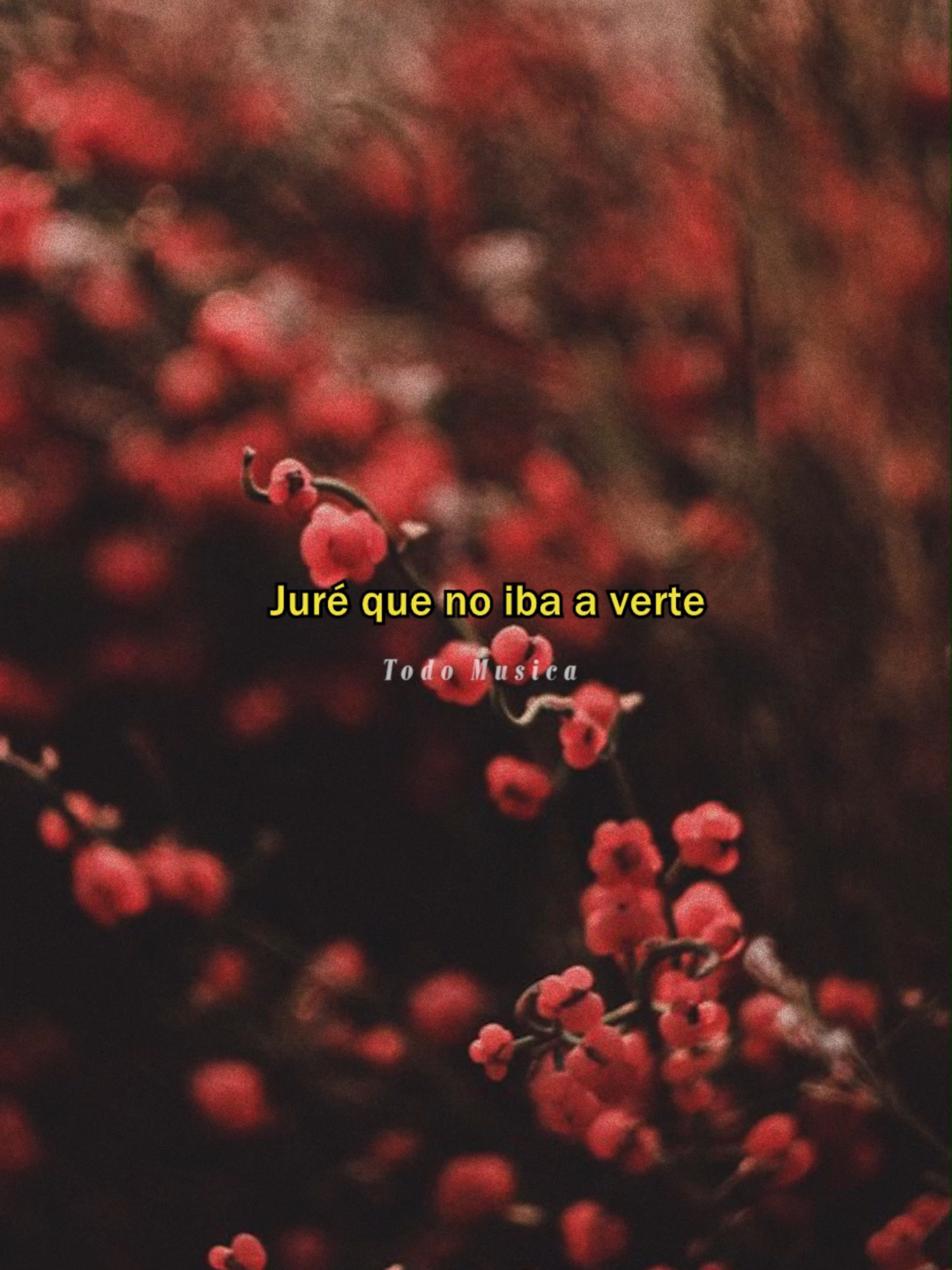 Ricardo Montaner - Solo Con Un Beso #ricardomontaner  #soloconunbeso #balada #musica 