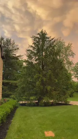 almost forgot this is the whole point 