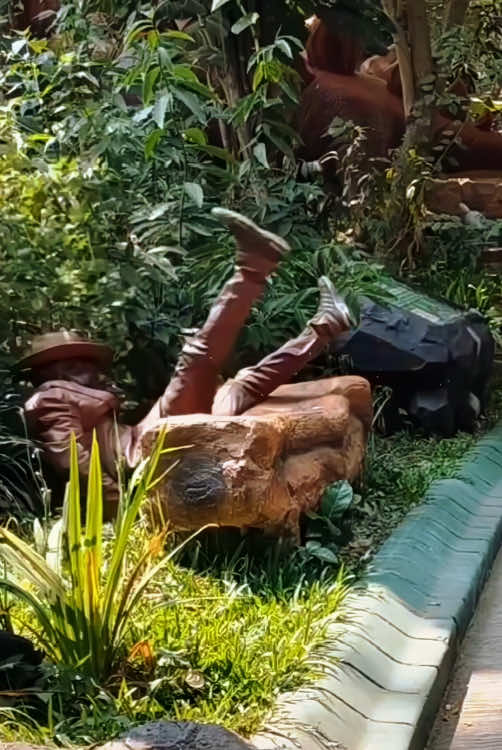 Bushman prank #fun #funny #bushman #prank #haha #funnyvideos #fpy #fpyシ #tiktok #foryou #scary 