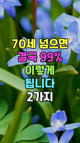 70세 넘으면 결국 99% 이렇게 됩니다 2자지  #명언 #인생조언 #좋은글 #건강보다중요한것 #관계의소중함 #노후현실 #지혜