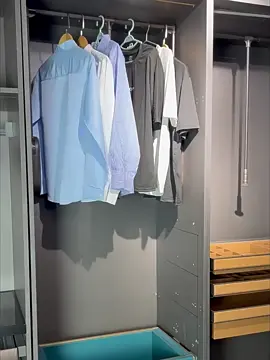 Lift Hanging Clothes Rail Pull-down Wardrobe Automatic Return Cloakroom Wardrobe Telescopic Clothes Hanger Household Hardware#hardware #clothes hanger#automatic return