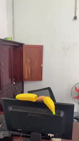 trái chuối giả hình chim #chimgia #chuoigia #docthan #phunudocthan #nhactrutinh #dexuat #giaitri #thugian #tamtrang #xh