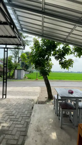 Open gays#seblakprasmanansilfi #magetan24jam #fypシ゚ #viral 