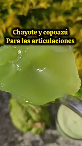 Gelatina de chayote y espinacas para controlar los niveles de azúcar y fortalecer los huesos 🦴🌿🌿 #higadograsoso #VisionSaludable #postresdeliciosos  #potasio #postresdeliciosos #food #Foodie #salud #articulaciones #rodillassanas #LIVEIncentiveProgram #LIVEChangesLives #PaidPartnership 