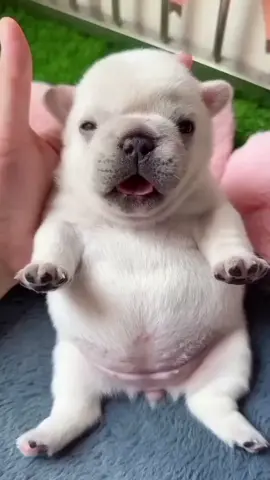 Gmail dice que me sigan en mi YT estoy como 