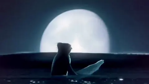 CODY MAVERICK  #fyp #viral #xybca #foryou #codymaverick #surfsup #surfsupedit 