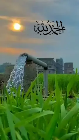 #الحمدلله_دائماً_وابداً #❤❤ #أصبحنا_وأصبح_الملك_لله_الحمدلله #سبحان_الله_وبحمده_سبحان_الله_العظيم #اللهم_صلي_على_نبينا_محمد #🕊️🕊️🕊️ #🌿🌿🌿 #🍃🍃 #🌻🌻🌻 