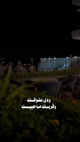 #CapCut #ودي_بشوفك_وقربك_ماحييت#الوليد_ال_عامر #تصويري