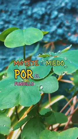 @Jazmin Md fkr Con todo menos con miedo… o como era? #motivacion #siosi #CapCut 