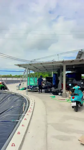 #🥰🥰🥰🥰🥰 # thêm nghề này nữa mới rực rỡ được nha anh em ##suhuongtiktok2025❤️❤️❤️🥰❤️❤️ #DV hô dù phithoan ##