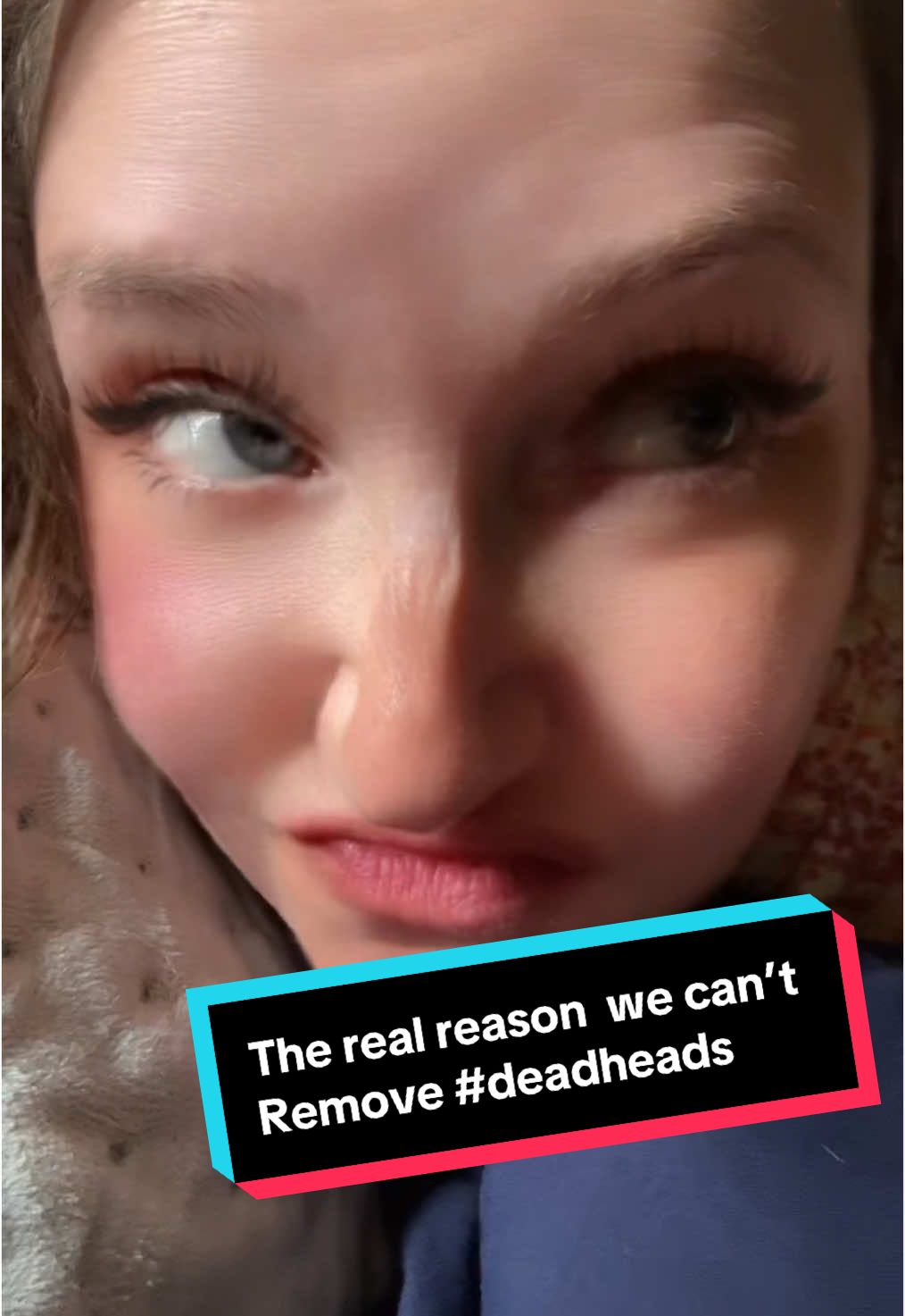 #creatorsearchinsights Truth be told the real reason  we can’t remove deadheads  #comedy #underthesea  #deadheads  #spongebobclips  #underwaterdangers  #verticaldangers  #trending #fypppppp😝 #1cosmickris 