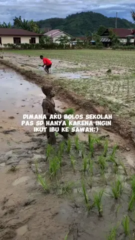 kenangannya 😟 #sawah #petani #desa #fyp#kampung  #fypage #fouryou 