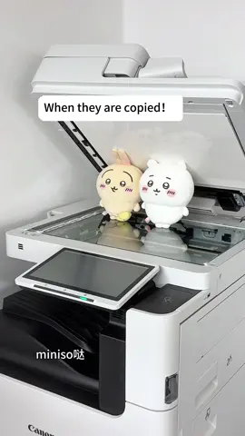 When they are copied.#Chiikawa #Usagi #cute #cool #toys #friends #Love #gift #Plush