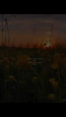#صباحكم_أحلى_صباح#🌻#video#مجرد________ذووووووق🎶🎵💞،☹#اكسسسسسسسسسسسسسبلوررررررررر 