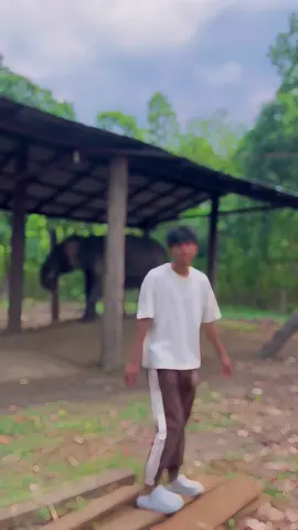 #CapCut Jaan se v jadha❤️#Lonely❤️‍ #trending #foryou #zzz 