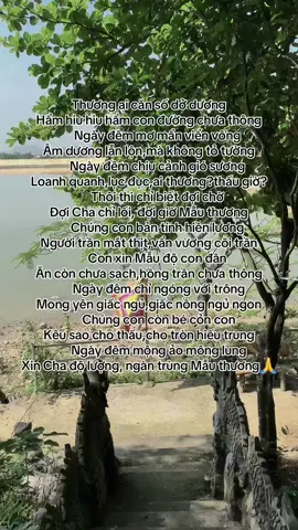 Thương ai căn số dở dương Hẩm hiu hiu hẩm con đường chưa thông       Ngày đêm mơ mẩn viển vông Âm dương lẫn lộn,mà không tỏ tường       Ngày đêm chịu cảnh gió sương Loanh quanh,lục đục,ai thương?thấu giờ?       Thôi thì chỉ biết đợi chờ Đợi Cha chỉ lối, đợi giờ Mẫu thương       Chúng con bản tính hiền lương Người trần mắt thịt,vẩn vương cõi trần       Con xin Mẫu độ con đần Ăn còn chưa sạch,hồng trần chưa thông        Ngày đêm chỉ ngóng với trông Mong yên giấc ngủ,giấc nồng ngủ ngon        Chúng con còn bé cỏn con Kêu sao cho thấu,cho tròn hiếu trung        Ngày đêm mộng ảo mông lung Xin Cha độ lượng, ngàn trùng Mẫu thương        Chúng con căn số dở dương Nay nương Cha Mẹ,soi đường cho con        Chúng con xin một lòng son Một lòng một dạ như hòn núi cao        Chúng con có lầm lỗi nào Xin Cha Mẹ bỏ,thấp cao cũng trừ        Cha Mẹ cứu khổ con hư Trẻ người non dạ,cũng như lọt lòng        Con xin nguyện đức sạch trong Gắng lòng tu đạo,hằng mong an bình        Con xin nguyện sống chung tình Sống vì trăm họ,cứu mình cứu dân         Con xin Mẫu độ ngàn lần Cho con yên số, hồng trần an vui         Chúng con đã biết nếm mùi Cơ hành,vất vả,ngọt bùi đắng cay         Xin nguyện từ trước tới nay Từ ngày biết đạo,ngày ngày con tu         Con nguyện sẽ sống hoà nhu Cùng tu cùng nổi,vụng tu cùng chìm#tinnguongthomauvietnam #candongsolinh 