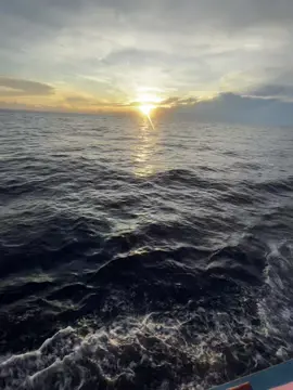 vòng tay anh ấm áp ôm em ngày xưa nay đã dành cho ai kia…