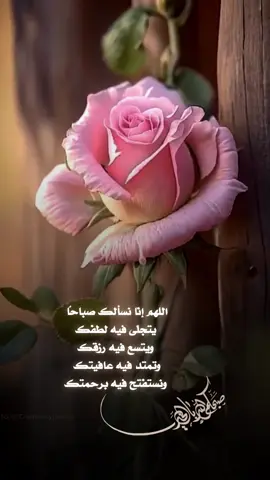 #اللهم_آمين #صباح_الخير #💚 