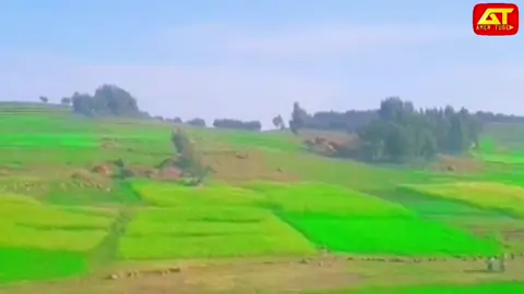 #creatorsearchinsights #foryou #ራያ_ራዩማ🌽🌾🌽🌾 #pyfツ #viral 