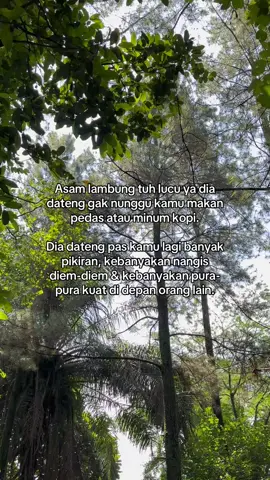 Asam lambung lucu ya #maag #gerd #asamlambung #lambung #lyrics #fypage #jj #fyp 