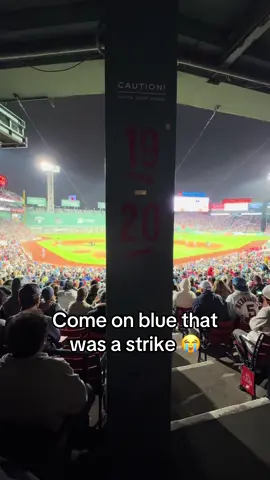 Strike or ball fam? 😭 #MLB #baseball #redsox #fenwaypark 