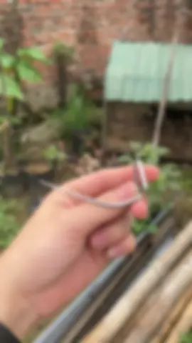 độ công phá cao, càng sâu nông càng to lỗ càng bự tham khảo qua mẫu số 7 cải tiến.  #số7cảitiến #mũibútchì #xuhuong 