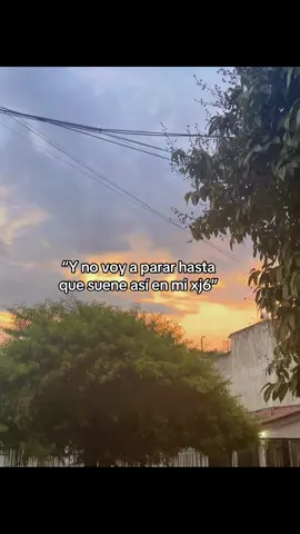 #bikelife #bikerboy #motos #xj6 #