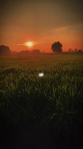 #CapCut Tung Tung Tung Tung . #radiothugian #viralmusic #tungtungtung #xh #trend #sun #foryou 