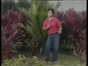 nyk ya🕺🕺😅ang laun dani wai🤭#Nostalgia #lagulama #kenangan #masalalu #muzik #liriklagu #lagu #fyp #fypシ゚ #fypage #foryou 
