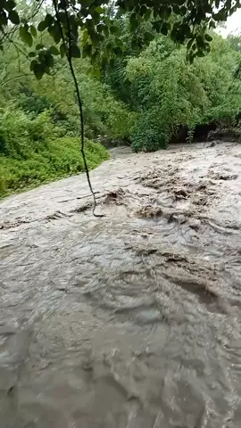 #baha 