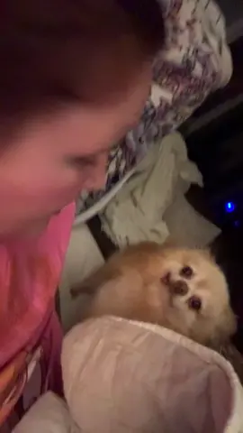 Gentle parenting my 16 yo child 