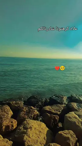 #شعب_الصيني_ماله_حل😂😂 #شيخ_عدة #fypシ゚ 