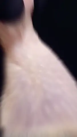 #perte #grow #goviral #fypシ゚viral🖤tiktok #fypシ゚ #New #respect #edit #top #News #makeup #perte #grow #goviral #fypシ゚viral🖤tiktok #fypシ゚ #New #respect #edit #top #News 