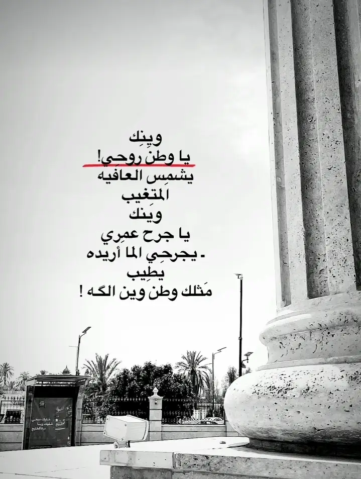 #CapCut وينك يا وطن روحي💛✨.  #خضير_هادي 