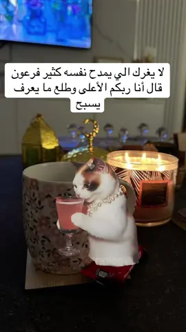 #Meme #MemeCut #تك_توك #اكسبلور #اكسبلوررررر 