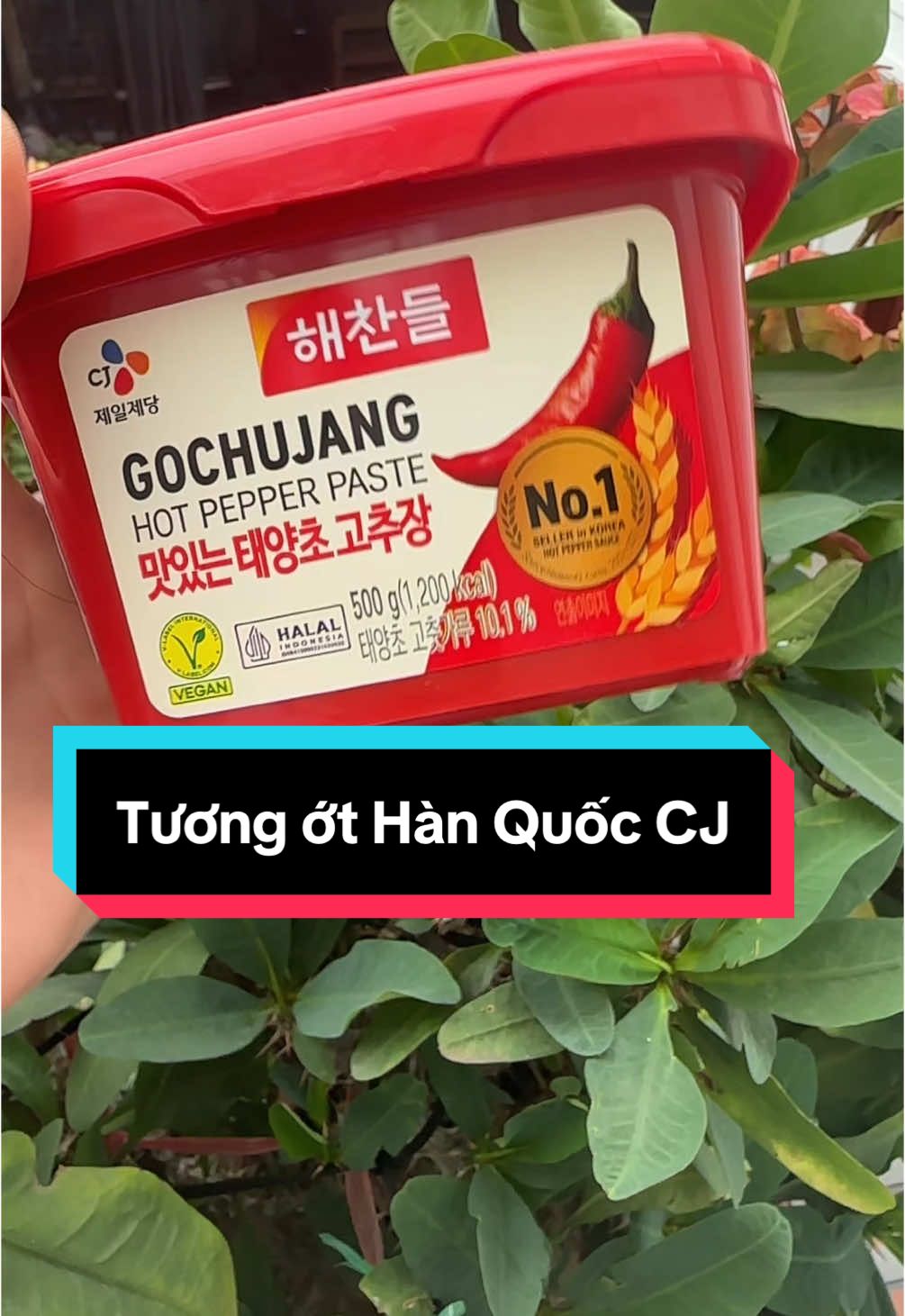Tương ớt Hàn Quốc CJ hộp 500g #tuongot #tuongothanquoc #tuongotCJ #tuongotgojuchang #cjfood #gojuchang #mycay #kimchi #tokbokki #ameal 