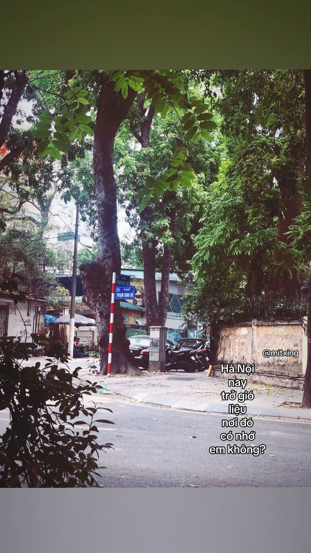 #xuhuong #tiktok #virla 