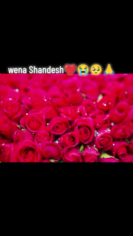 #fyppppppppppppppppppppppp  Goodmorning❤️❤️❤️