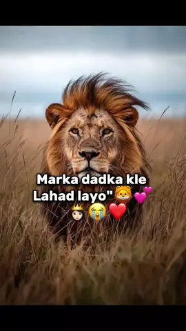 #jawi_bila🌊❤️🌴 #deggan💕🤤 #♾️♾️💘💘💘💘💘 #somalitiktok #views #🖤💕🖤💕🖤💕 #fyppppppppppppppppppppppp 