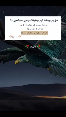 اگر آپ حق اور سچ کے ساتھ نہیں کھڑے تو پھر تاریخ کو اس سے کوئی غرض نہیں کہ آپ مسجد کے حجرے میں تھے یا طوائف کے کوٹھے پر۔۔۔۔۔ اور  لوگوں کو حق بات بھی وہ پسند ہے جو ان کے حق میں ہو۔۔۔۔ وشماراؤ  #وشماراؤ #100kviews #1Mviews #viralvideo #deepwords #sadsong #foryou #qoutes #sadpoetry #urdupoetry #goldenwords #foryoupage 