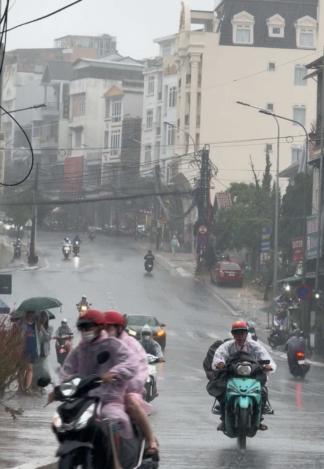 Mưa bão ùa về, là ngày em chẳng trở về. #dalat #xh 