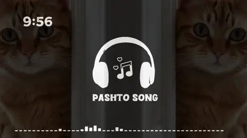 #pashtosong #پشتو_سونگ #fullsong #mast #❤️ 
