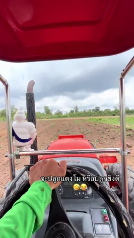 🫶✌️💚 #ยโสธรหวานมาก❤️‍🔥😆😆😆 