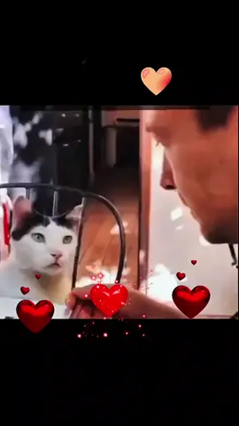 #😂😂😂 #🤣🤣🤣 #😂 #🤣 🤣