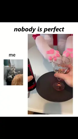 #viral #fyp #nobodyisperfect #fouryou #fouyou #tiktok 