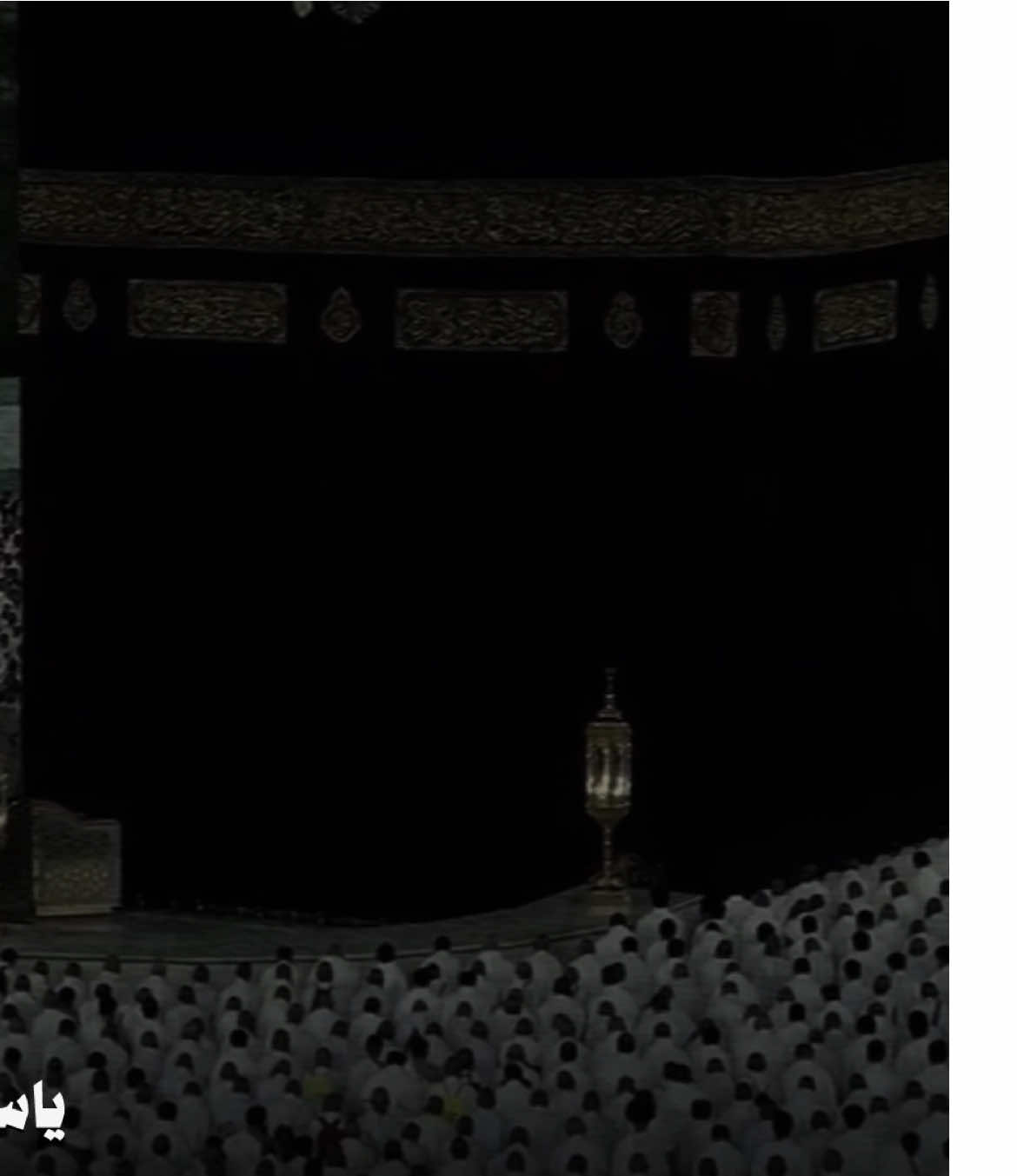 اللهم اجعلنا منهم 🤍. #ياسر_الدوسري #قران #سورة_النور #اجر #تلاوات #الحرم_المكي #تصميم #islamic_video #quran 