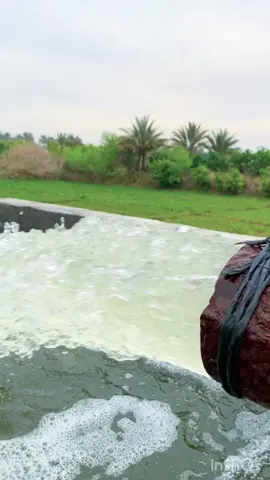 تحبون الريف؟💚#تصويري📸  #اكسبلورexplore  #fyp 