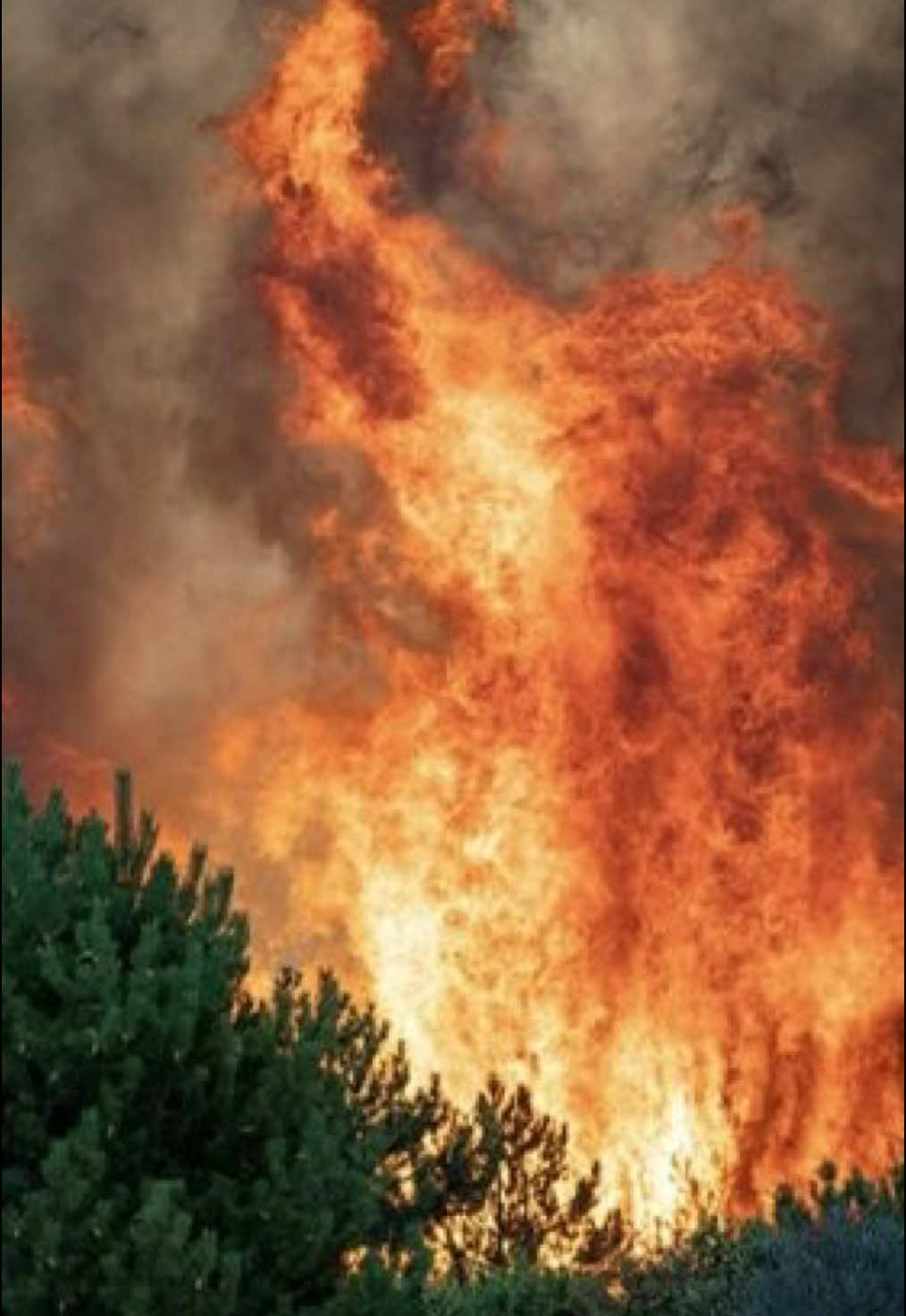 Deutschland trocknet aus. Schwarz-Rot schaut zu. 2025: Bis zu 68 % weniger Regen – und trotzdem kein echter Plan für den Klimaschutz. Im Koalitionsvertrag? Kommt Klima kaum vor. Die nächsten vier Jahre? Wahrscheinlich Stillstand Während die Erde brennt, kuschelt Merz mit Nestlé und Co. Unsere Zukunft? Für Schwarz-Rot nur verzichtbare Verhandlungsmasse. Deshalb: Raus auf die Straße!