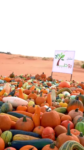 #مشتل روض